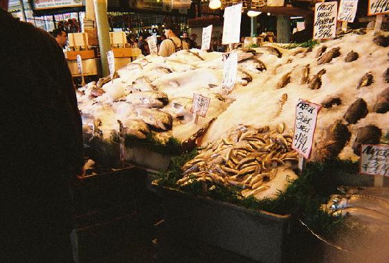 Fish at the Fishmarket.