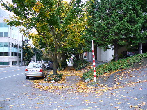 Looking down Dexter Ave.