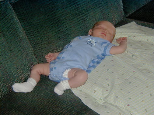 Michasel getting 40 winks.