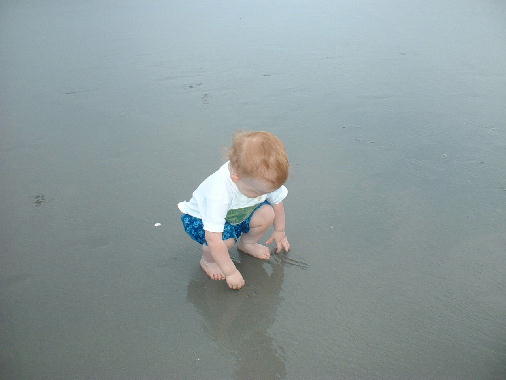 Looking for shells.