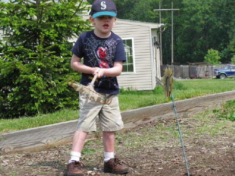 Chopping the backyard flower.