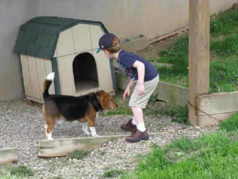 Playing with Oscar.