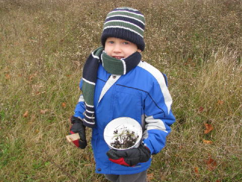 Looking for mud soup ingredients.