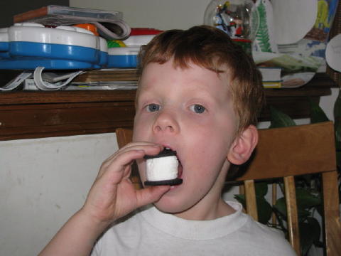 An oreo marshmellow treat.