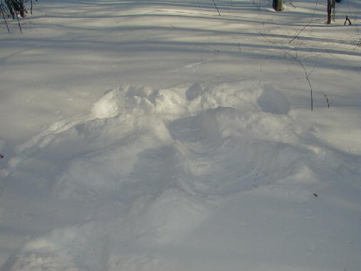 A snow angel